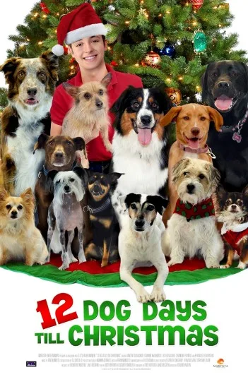 12 Dog Days of Christmas