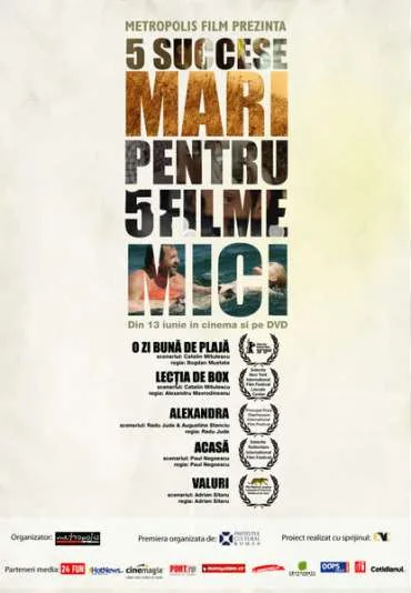5 succese mari pentru 5 filme mici