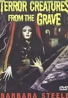 5 tombe per un medium