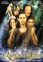 A Light in the Forest