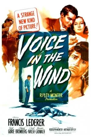 A Voice in the Wind