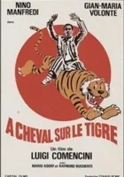 A cavallo della tigre