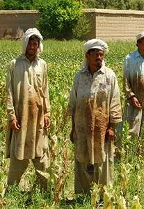 Afgańska heroina: Zapomniana wojna