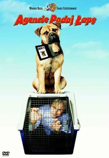 Agencie, podaj łapę