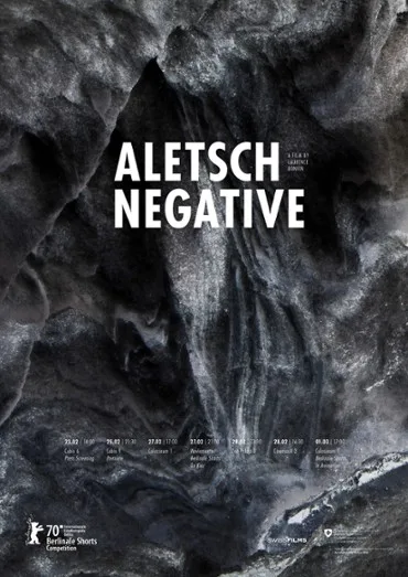 Aletsch Negative