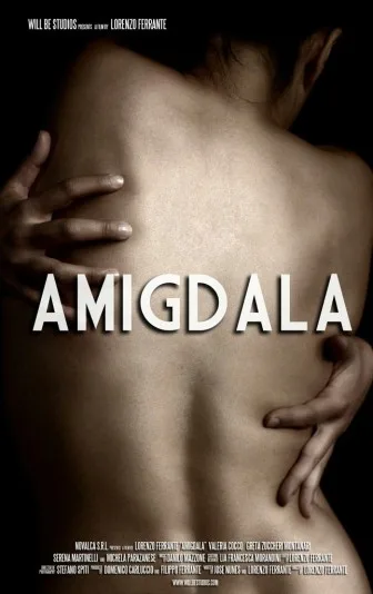 Amigdala