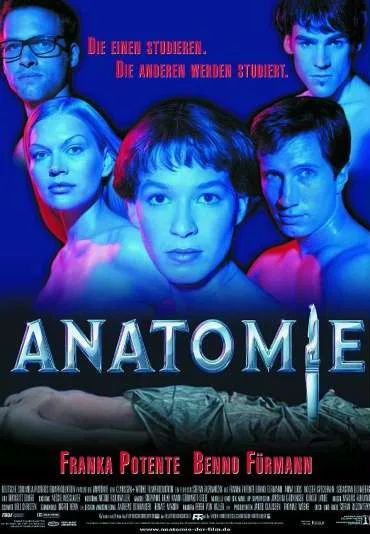 Anatomia