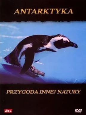 Antarktyka - Przygoda innej natury
