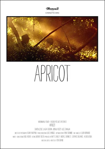 Apricot