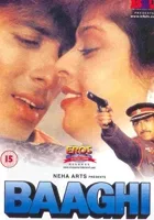 Baaghi: A Rebel for Love