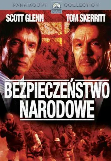 Bezpieczeństwo narodowe