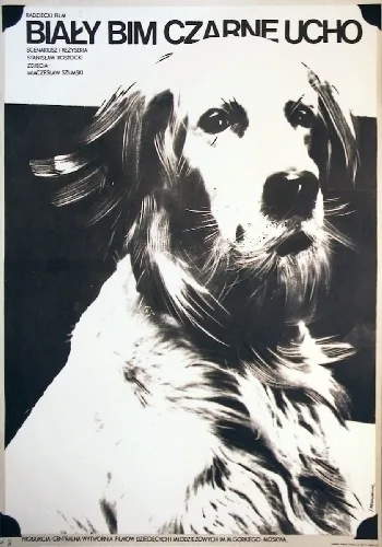 Biały Bim, Czarne Ucho