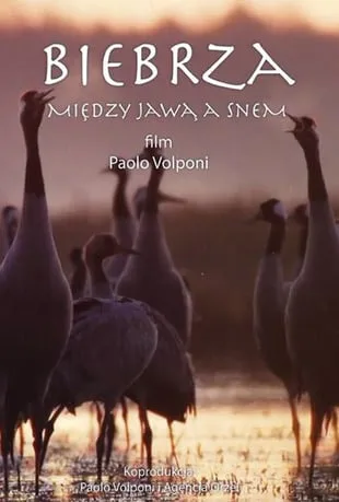 Biebrza - między jawą a snem