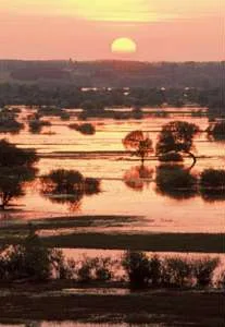 Biebrzański Park Narodowy