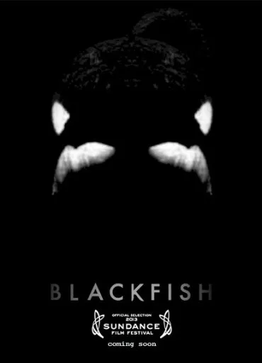 Blackfish
