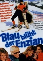 Blau blüht der Enzian