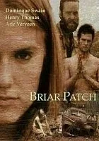 Briar Patch