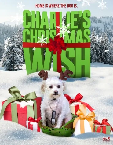 Charlie's Christmas Wish