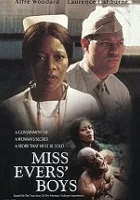 Chłopcy panny Evers