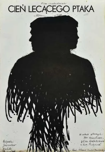 Cień lecącego ptaka