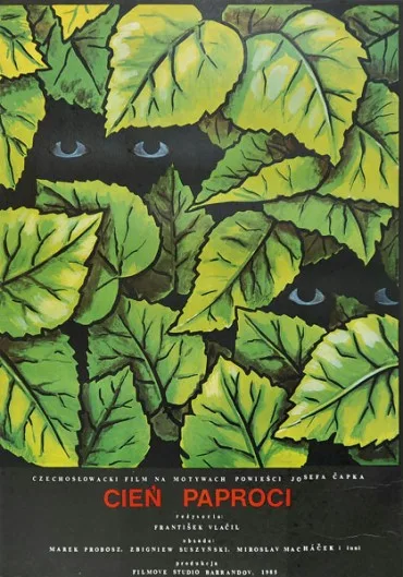 Cień paproci