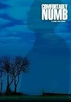 Comfortably Numb