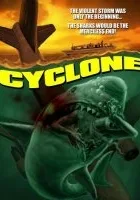 Cyclone