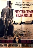 Człowiek który kochał "Tańczącą Kotkę"