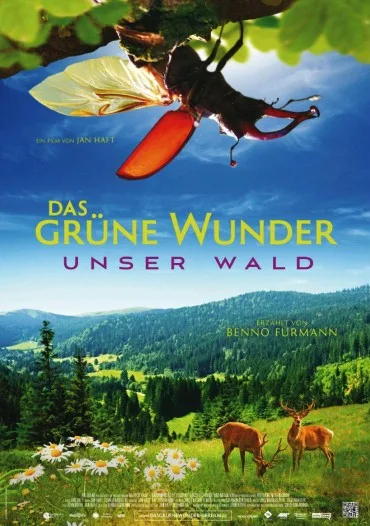 Das Grüne Wunder - Unser Wald