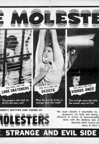 Der Sittlichkeitsverbrecher