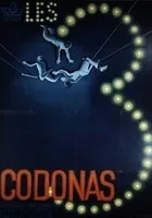 Die Drei Codonas