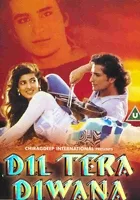 Dil Tera Diwana