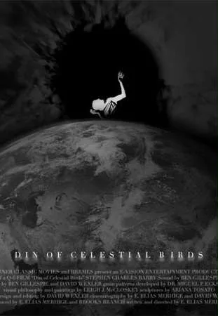 Din of Celestial Birds