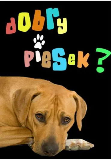 Dobry piesek