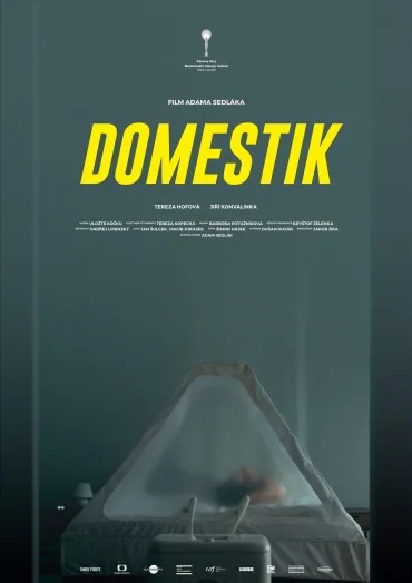 Domownik