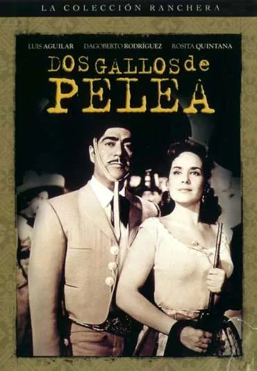 Dos gallos de pelea