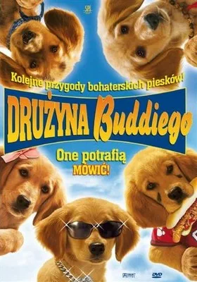 Drużyna Buddiego