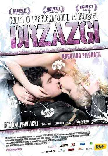 Drzazgi