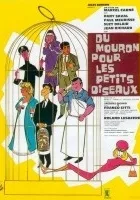 Du mouron pour les petits oiseaux