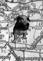 Dwanaście postojów na drodze donikąd