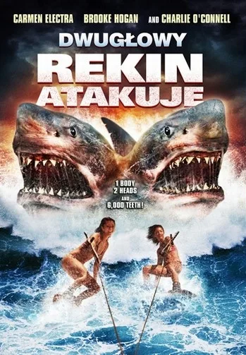 Dwugłowy rekin atakuje