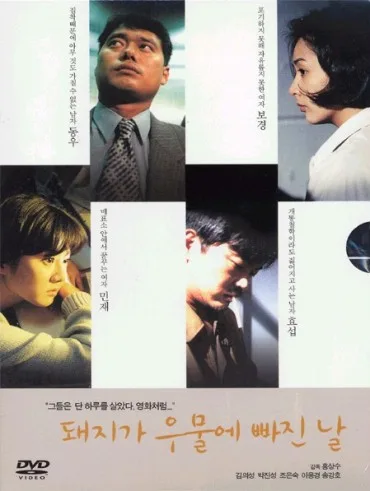 Dzień, w którym świnia wpadła do studni