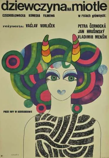 Dziewczyna na miotle