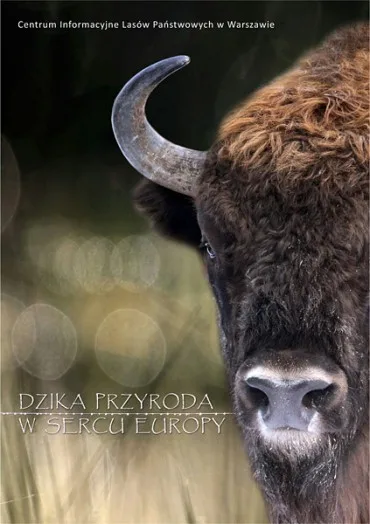 Dzika przyroda w sercu Europy