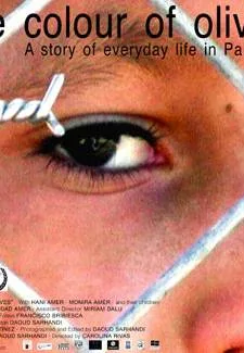 El Color de los olivos