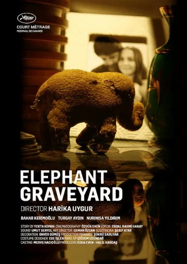 Elephant Graveyard