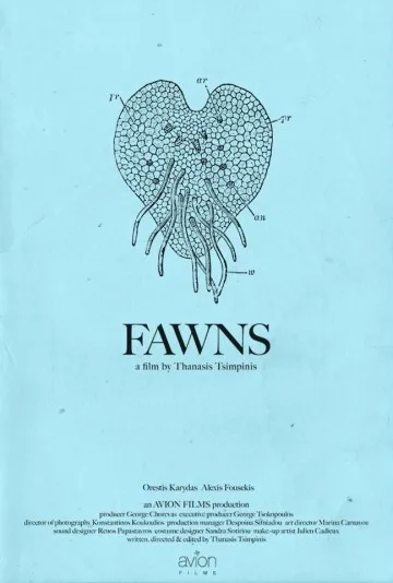 Fawns