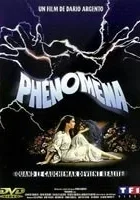 Fenomeny