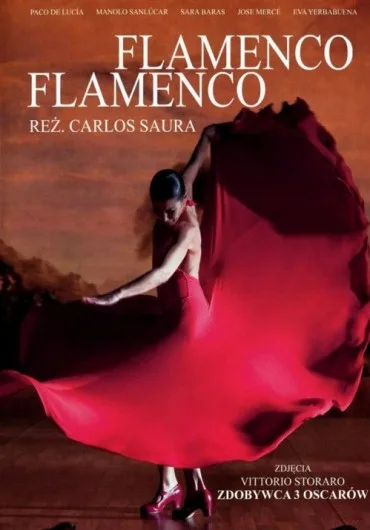 Flamenco, flamenco
