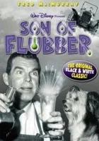 Flubber - mikstura profesora